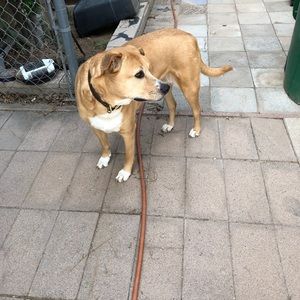 Meet your Posher, Mona